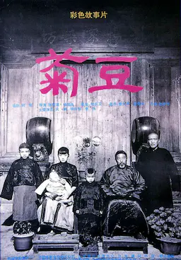 菊豆海报