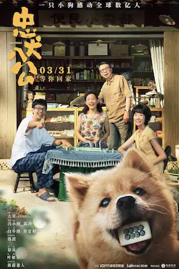 忠犬八公海报