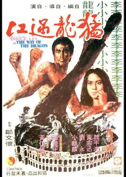 猛龙过江海报