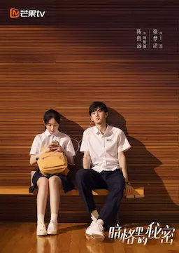 暗格里的秘密海报