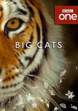 大猫海报