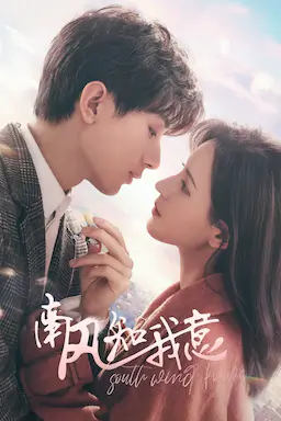 南风知我意海报