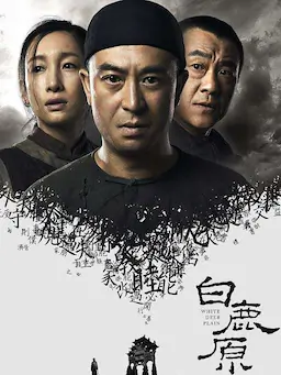 白鹿原海报