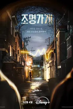 照明商店海报