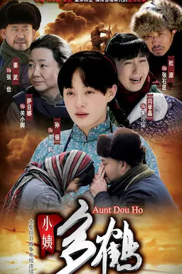 小姨多鹤海报
