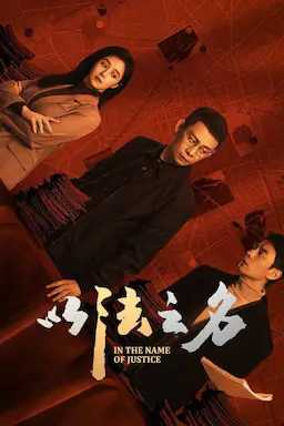 以法之名海报