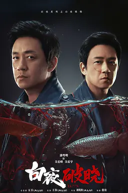 白夜破晓海报