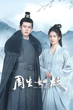 周生如故海报