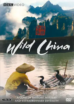 美丽中国海报