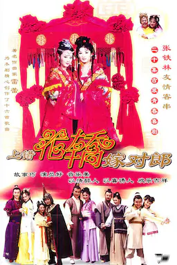 上错花轿嫁对郎海报