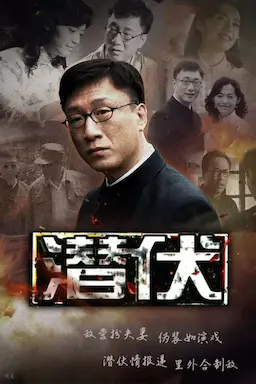 潜伏海报